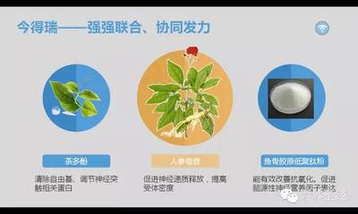 脑健康-今得瑞:拥有健康大脑才有幸福生活