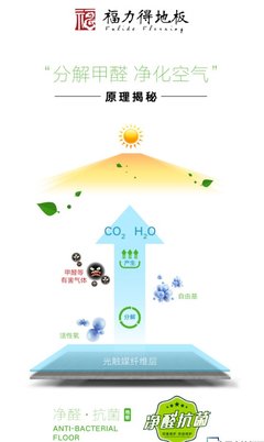 福力得认为:好地板只有一个属性--净醛