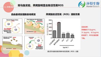 环特生物携斑马鱼生物技术亮相InnoCosme2021